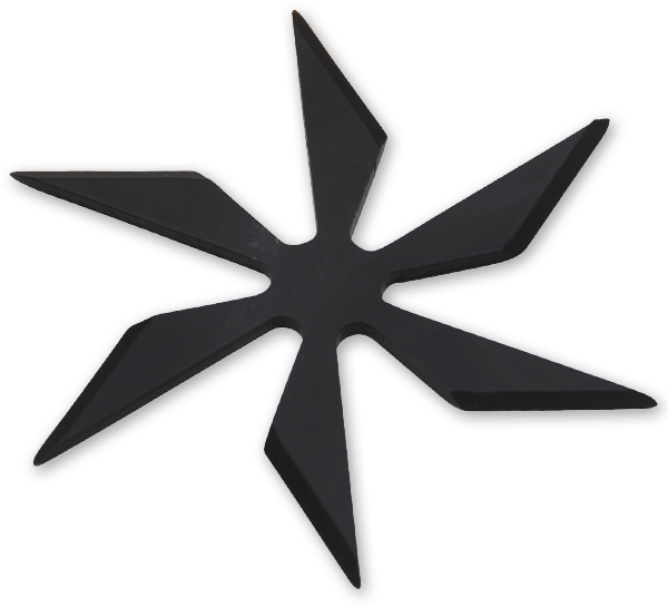 6 Blade Weighted star -Black FB0014-BK