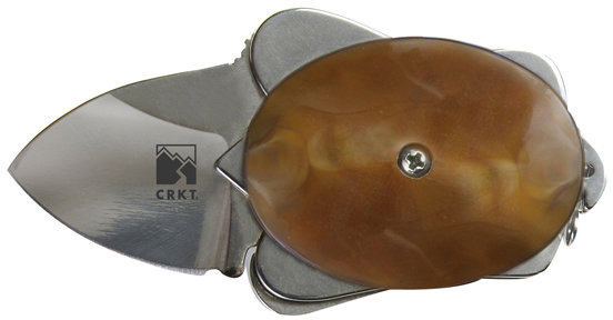 Ashworth Turtle, Polished Frame, Golden Brown Scales CR5910G