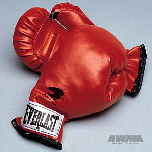 Everlast Youth Boxing Gloves, 83034